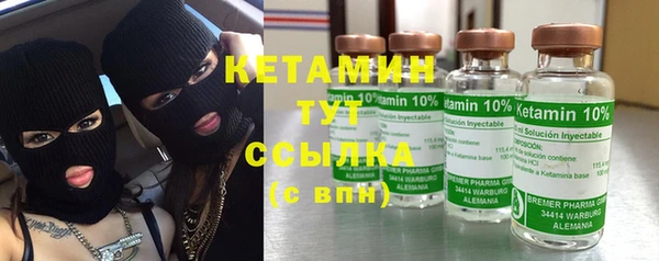 твердый Вяземский