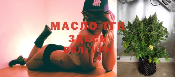 твердый Вяземский