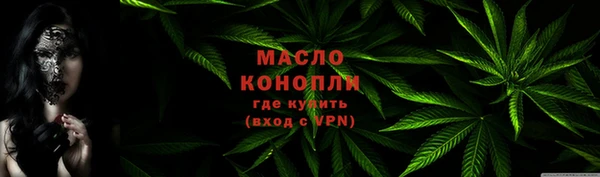 твердый Вяземский
