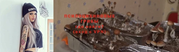 соль ск Вязьма