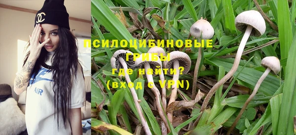 твердый Вяземский