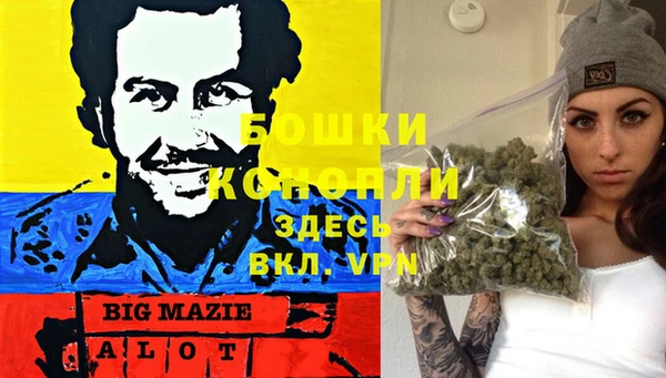 соль ск Вязьма