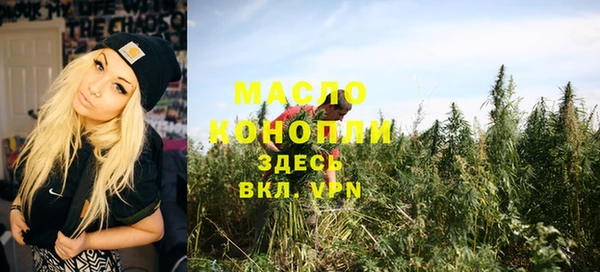 твердый Вяземский