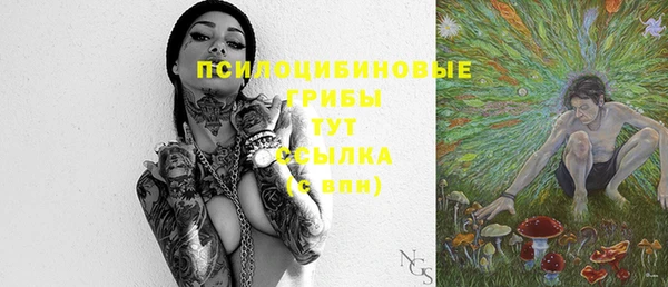 твердый Вяземский