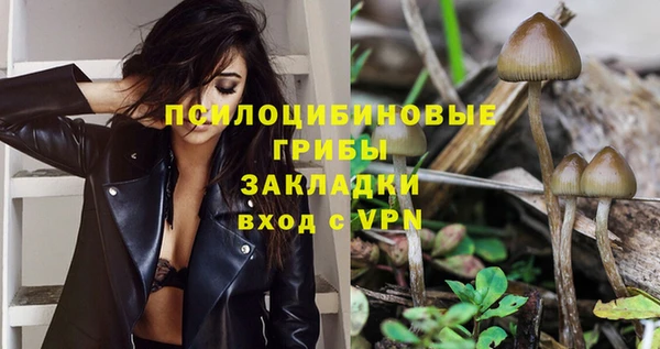 твердый Вяземский