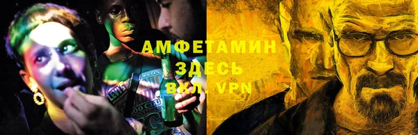 твердый Вяземский